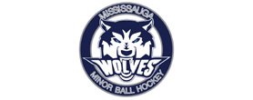 Mississauga Minor Ball Hockey