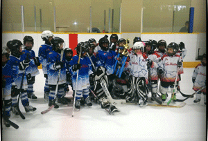 Applewood Hockey Association